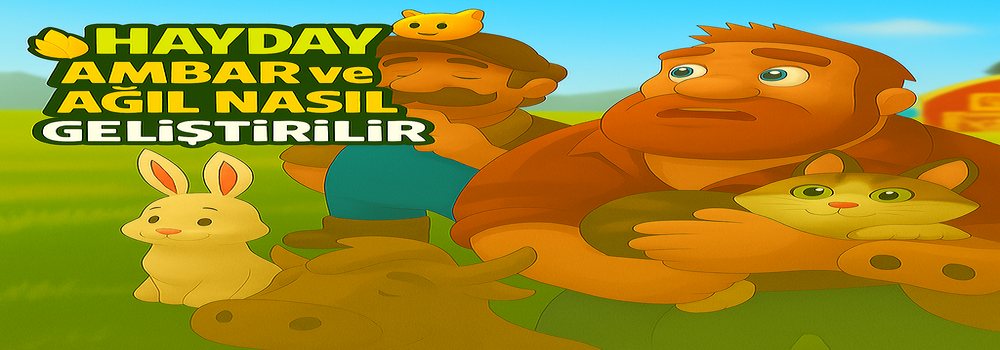 HAYDAY AMBAR ve AĞIL NASIL GELİŞTİRİLİR ?